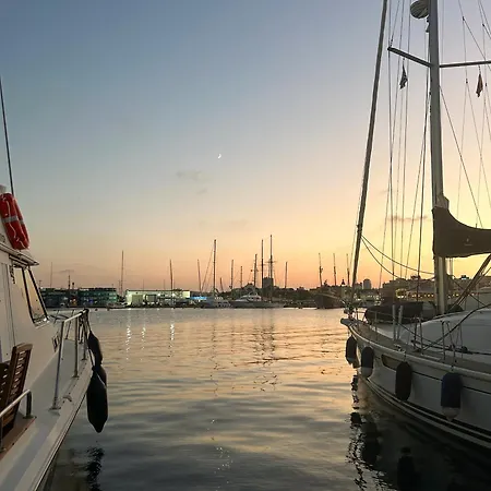 Barco Muy Espacioso Con Dos Terrazas Centro!! ולנסיה